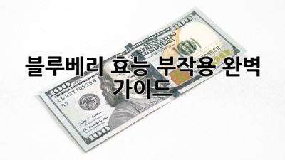 블루베리 효능, 부작용 완벽 가이드!