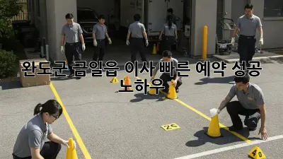 완도군 금일읍 이사, 빠른 예약 성공 노하우!